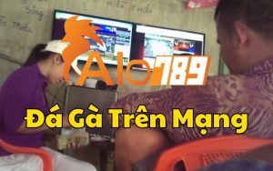 Đá Gà Trên Mạng Tại ALO789 - Mang Trường Gà Đến Tận Nhà Bạn